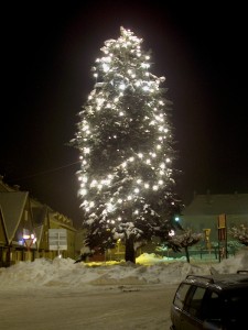 2001.12.14 20.05.48.jpg